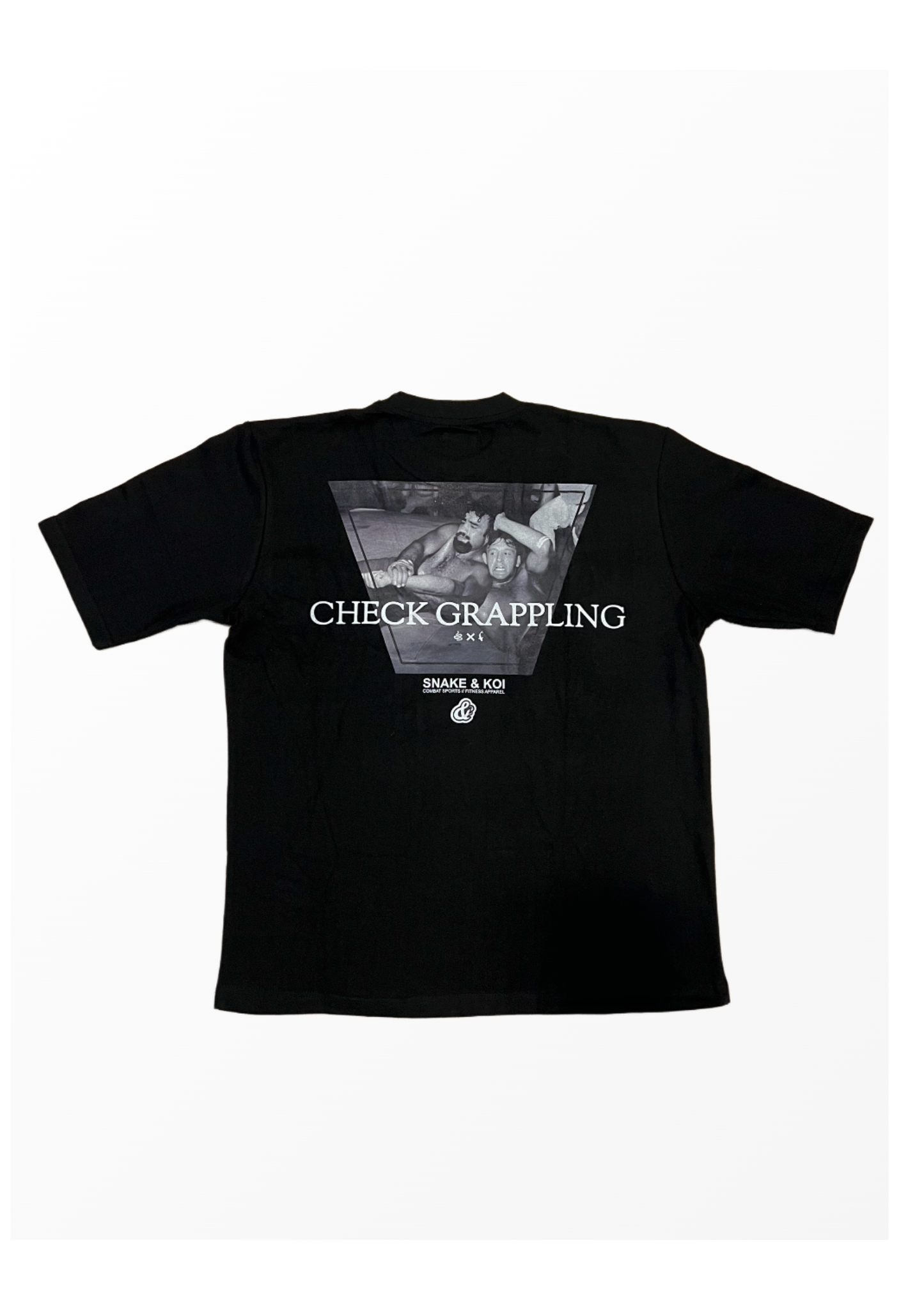Check Grappling: Arm Lock